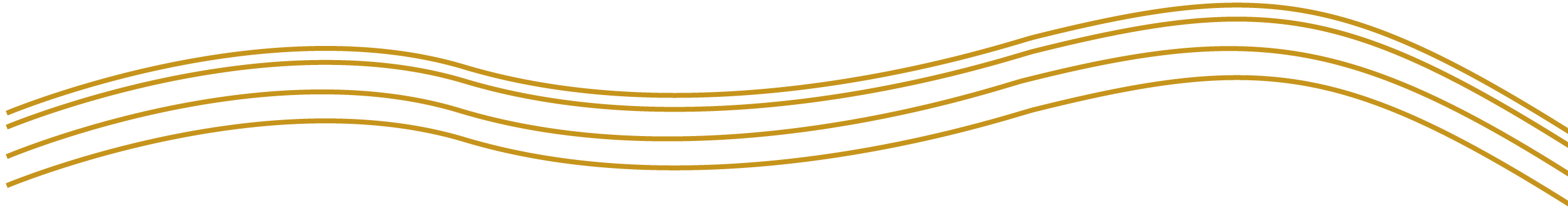 border shape orange